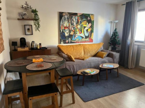 Colmarinn appartement Chill en hyper centre avec Ascenseur et Parking privé